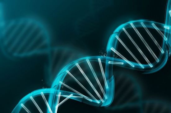 Haber | ‘Eşcinsellik genle tespit edildi’ iddiası