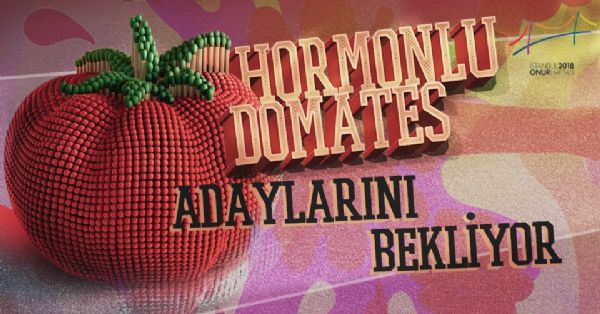 Haber | Hormonlu Domates adayını belirle