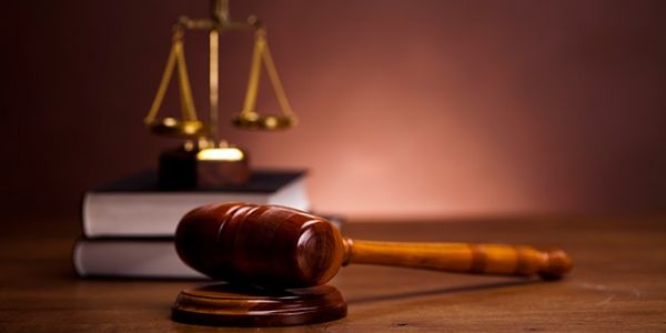 Haber | HOLLANDA ANAYASASI’NA “CİNSEL YÖNELİME DAYALI AYRIMCILIK SUÇTUR” MADDESİ EKLENECEK